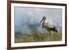 White Stork (Ciconia Ciconia) Hunting and Feeding at the Edge of a Bushfire-Denis-Huot-Framed Photographic Print