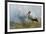 White Stork (Ciconia Ciconia) Hunting and Feeding at the Edge of a Bushfire-Denis-Huot-Framed Photographic Print