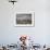 White Stork (Ciconia Ciconia) in Flight over City Buildings. Marakesh, Morocco, March-Ernie Janes-Framed Photographic Print displayed on a wall