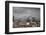 White Stork (Ciconia Ciconia) in Flight over City Buildings. Marakesh, Morocco, March-Ernie Janes-Framed Photographic Print