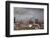 White Stork (Ciconia Ciconia) in Flight over City Buildings. Marakesh, Morocco, March-Ernie Janes-Framed Photographic Print