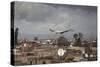 White Stork (Ciconia Ciconia) in Flight over City Buildings. Marakesh, Morocco, March-Ernie Janes-Stretched Canvas