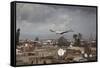 White Stork (Ciconia Ciconia) in Flight over City Buildings. Marakesh, Morocco, March-Ernie Janes-Framed Stretched Canvas