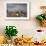 White Stork (Ciconia Ciconia) in Flight over City Buildings. Marakesh, Morocco, March-Ernie Janes-Framed Photographic Print displayed on a wall