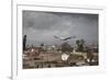 White Stork (Ciconia Ciconia) in Flight over City Buildings. Marakesh, Morocco, March-Ernie Janes-Framed Photographic Print