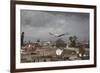 White Stork (Ciconia Ciconia) in Flight over City Buildings. Marakesh, Morocco, March-Ernie Janes-Framed Photographic Print