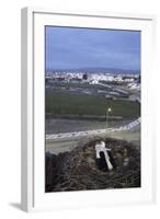 White Stork (Ciconia Ciconia) in Nest Overlooking Town-Jose B. Ruiz-Framed Photographic Print