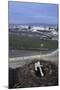 White Stork (Ciconia Ciconia) in Nest Overlooking Town-Jose B. Ruiz-Mounted Photographic Print