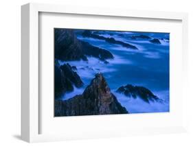 White Stork (Ciconia Ciconia) Pair at Nest on Coastal Rock Formation, Cabo Sard?o, Portugal-Quinta-Framed Photographic Print
