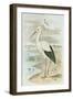 White Stork-null-Framed Art Print