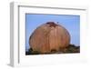 White Storks (Ciconia Ciconia) at Nest, on Large Granite Boulder, Los Barruecos, Extremadura, Spain-Widstrand-Framed Photographic Print