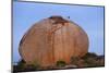 White Storks (Ciconia Ciconia) at Nest, on Large Granite Boulder, Los Barruecos, Extremadura, Spain-Widstrand-Mounted Photographic Print