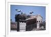 White Storks Nesting on Buildings (Ciconia Ciconia) Spain-null-Framed Photographic Print