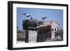 White Storks Nesting on Buildings (Ciconia Ciconia) Spain-null-Framed Photographic Print