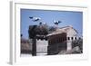 White Storks Nesting on Buildings (Ciconia Ciconia) Spain-null-Framed Photographic Print