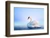 White Swan in the Foggy Lake at the Dawn. Morning Lights. Romantic Background. Beautiful Swan. Cygn-Dima Zel-Framed Photographic Print