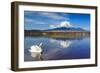 White Swan with Mount Fuji at Yamanaka Lake, Yamanashi, Japan-lkunl-Framed Photographic Print