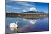 White Swan with Mount Fuji at Yamanaka Lake, Yamanashi, Japan-lkunl-Mounted Photographic Print