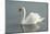 White swan-Jim Engelbrecht-Mounted Photographic Print