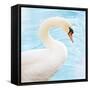 White Swan-Gail Peck-Framed Stretched Canvas