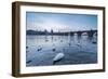 White swans on the Vltava River and the historical Charles Bridge at sunrise, UNESCO World Heritage-Roberto Moiola-Framed Photographic Print
