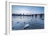 White swans on the Vltava River and the historical Charles Bridge at sunrise, UNESCO World Heritage-Roberto Moiola-Framed Photographic Print