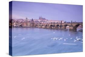 White swans on the Vltava River and the historical Charles Bridge at sunrise, UNESCO World Heritage-Roberto Moiola-Stretched Canvas