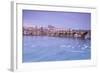 White swans on the Vltava River and the historical Charles Bridge at sunrise, UNESCO World Heritage-Roberto Moiola-Framed Photographic Print