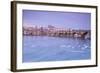 White swans on the Vltava River and the historical Charles Bridge at sunrise, UNESCO World Heritage-Roberto Moiola-Framed Photographic Print