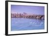 White swans on the Vltava River and the historical Charles Bridge at sunrise, UNESCO World Heritage-Roberto Moiola-Framed Photographic Print