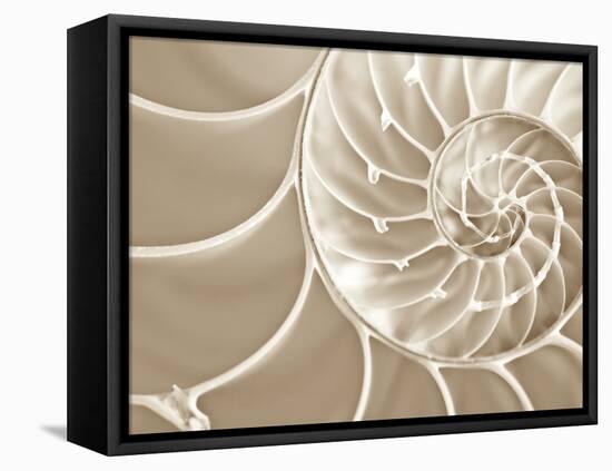 White Swirls-Doug Chinnery-Framed Stretched Canvas