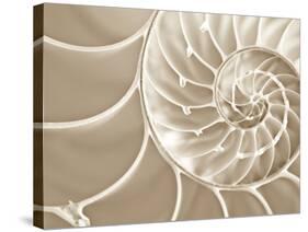 White Swirls-Doug Chinnery-Stretched Canvas