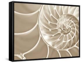 White Swirls-Doug Chinnery-Framed Stretched Canvas