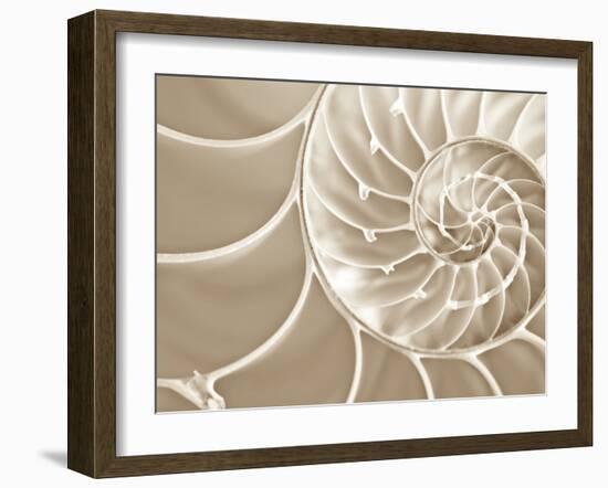 White Swirls-Doug Chinnery-Framed Premium Photographic Print