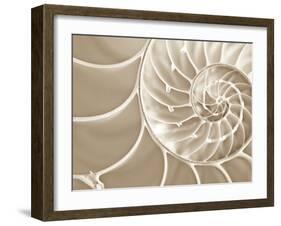 White Swirls-Doug Chinnery-Framed Premium Photographic Print