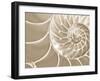 White Swirls-Doug Chinnery-Framed Premium Photographic Print