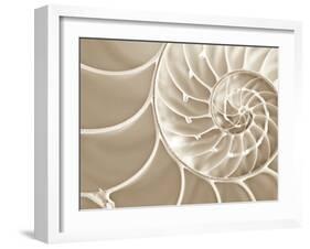 White Swirls-Doug Chinnery-Framed Premium Photographic Print