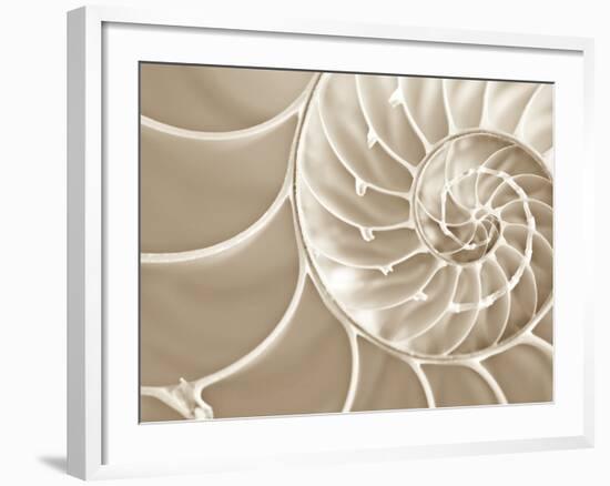 White Swirls-Doug Chinnery-Framed Photographic Print