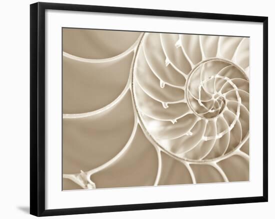 White Swirls-Doug Chinnery-Framed Photographic Print