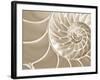 White Swirls-Doug Chinnery-Framed Photographic Print