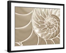 White Swirls-Doug Chinnery-Framed Photographic Print