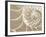 White Swirls-Doug Chinnery-Framed Photographic Print