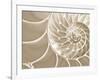 White Swirls-Doug Chinnery-Framed Photographic Print