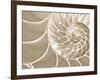 White Swirls-Doug Chinnery-Framed Photographic Print