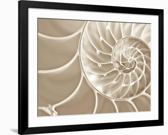 White Swirls-Doug Chinnery-Framed Photographic Print