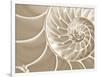 White Swirls-Doug Chinnery-Framed Photographic Print
