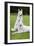 White Swiss Shepherd Dog Pair-null-Framed Photographic Print