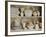 White Tableware and Table Cloths on a Kitchen Shelf-Ellen Silverman-Framed Photographic Print