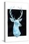 White Tail Bust I-Grace Popp-Stretched Canvas