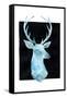 White Tail Bust I-Grace Popp-Framed Stretched Canvas